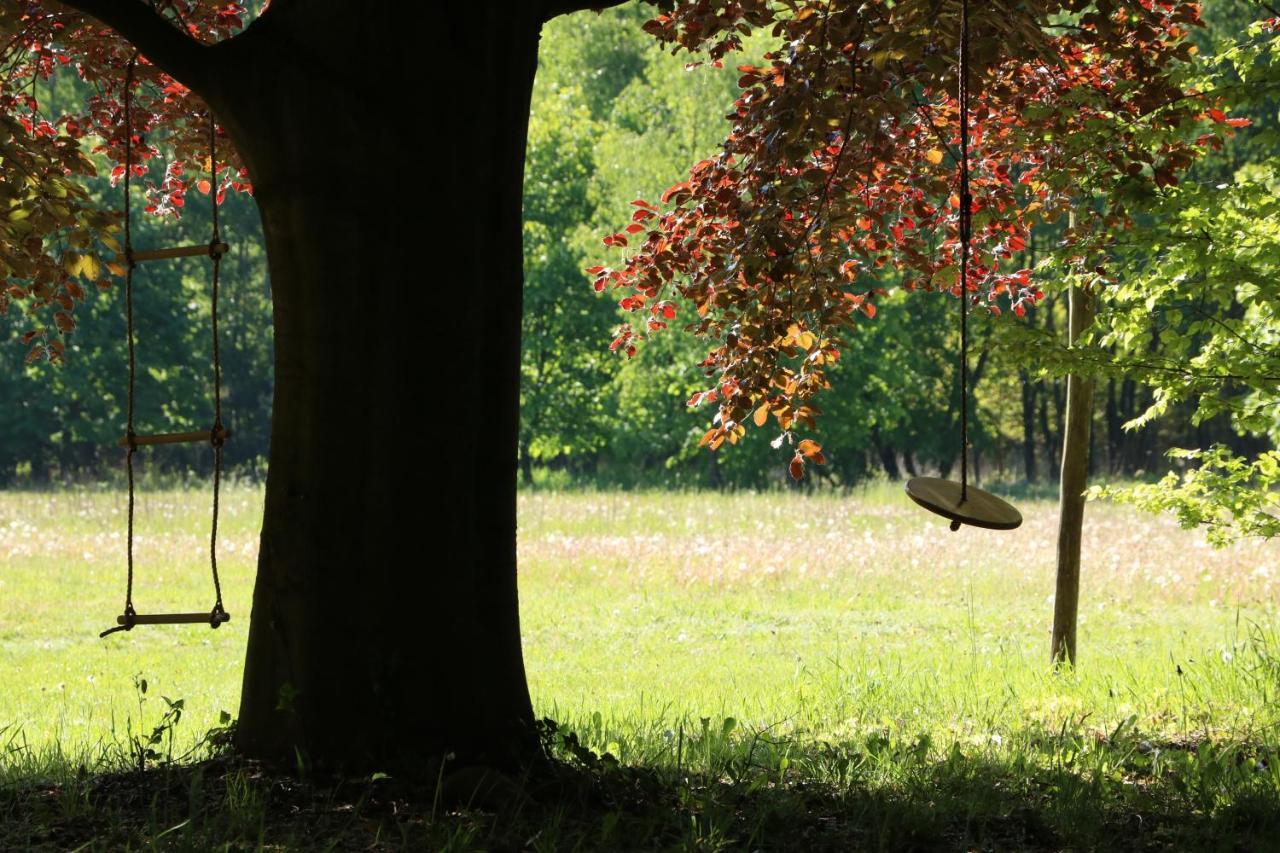 Opglabbeek Vakantiewoning Heidebos In Het Nationaal Park Hoge Kempen מראה חיצוני תמונה