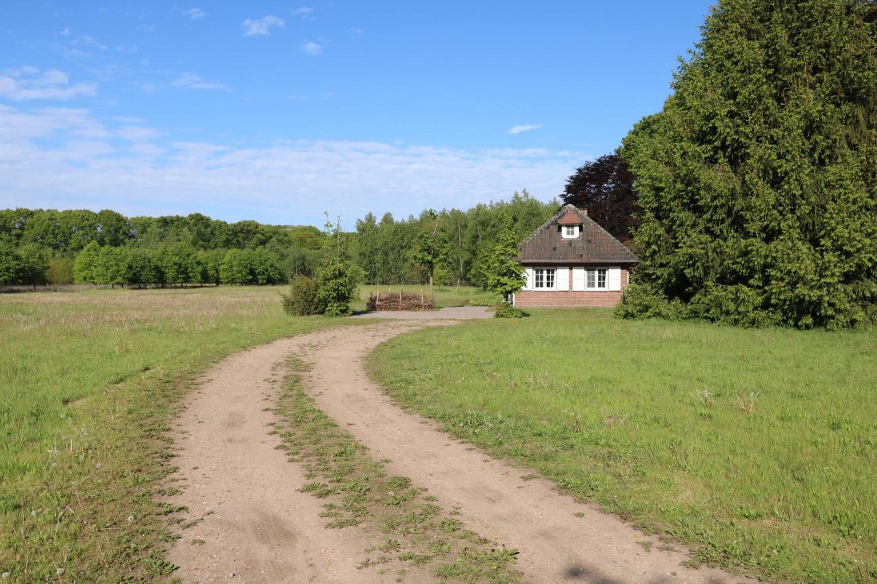 Opglabbeek Vakantiewoning Heidebos In Het Nationaal Park Hoge Kempen מראה חיצוני תמונה