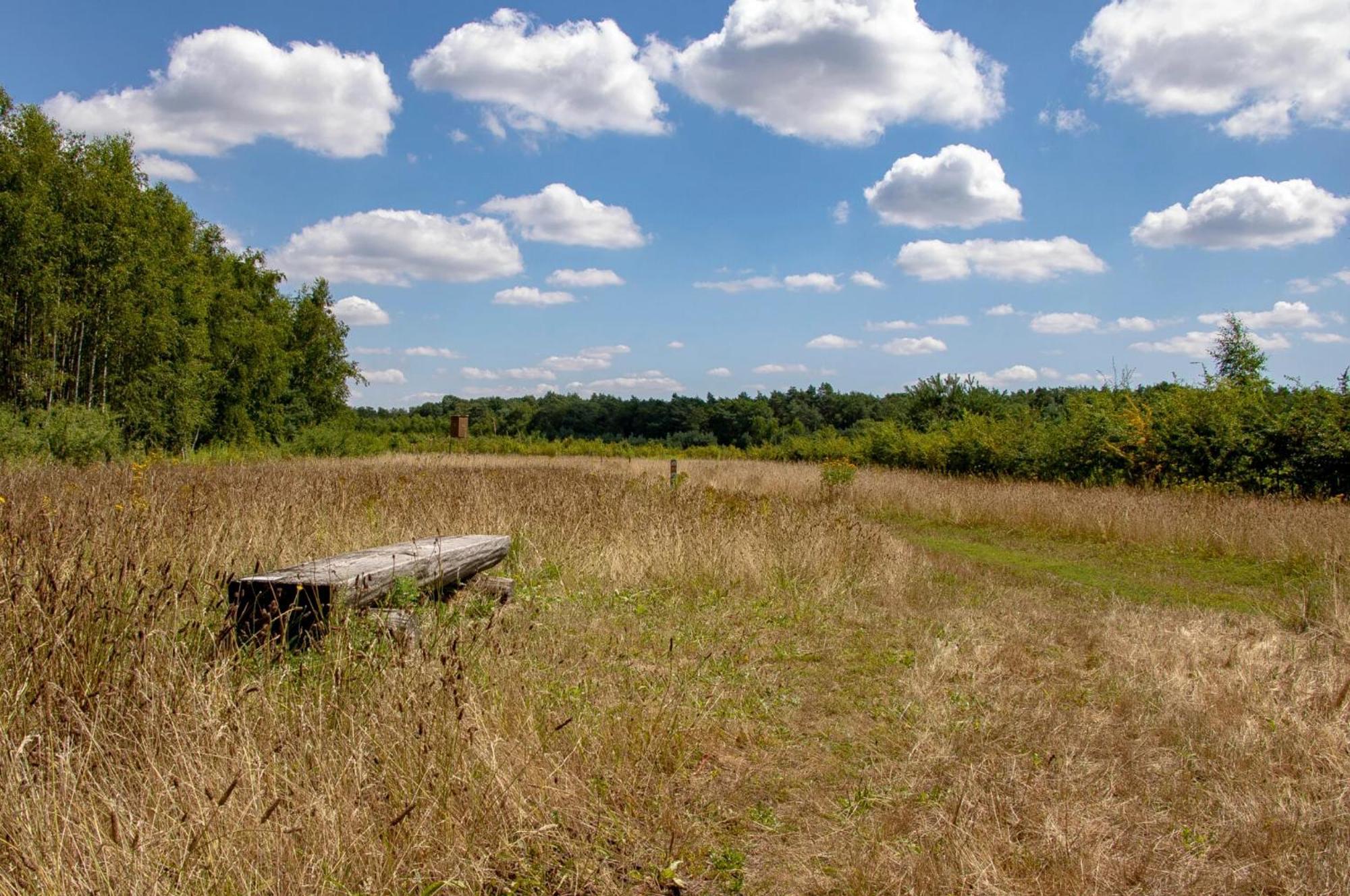 Opglabbeek Vakantiewoning Heidebos In Het Nationaal Park Hoge Kempen מראה חיצוני תמונה