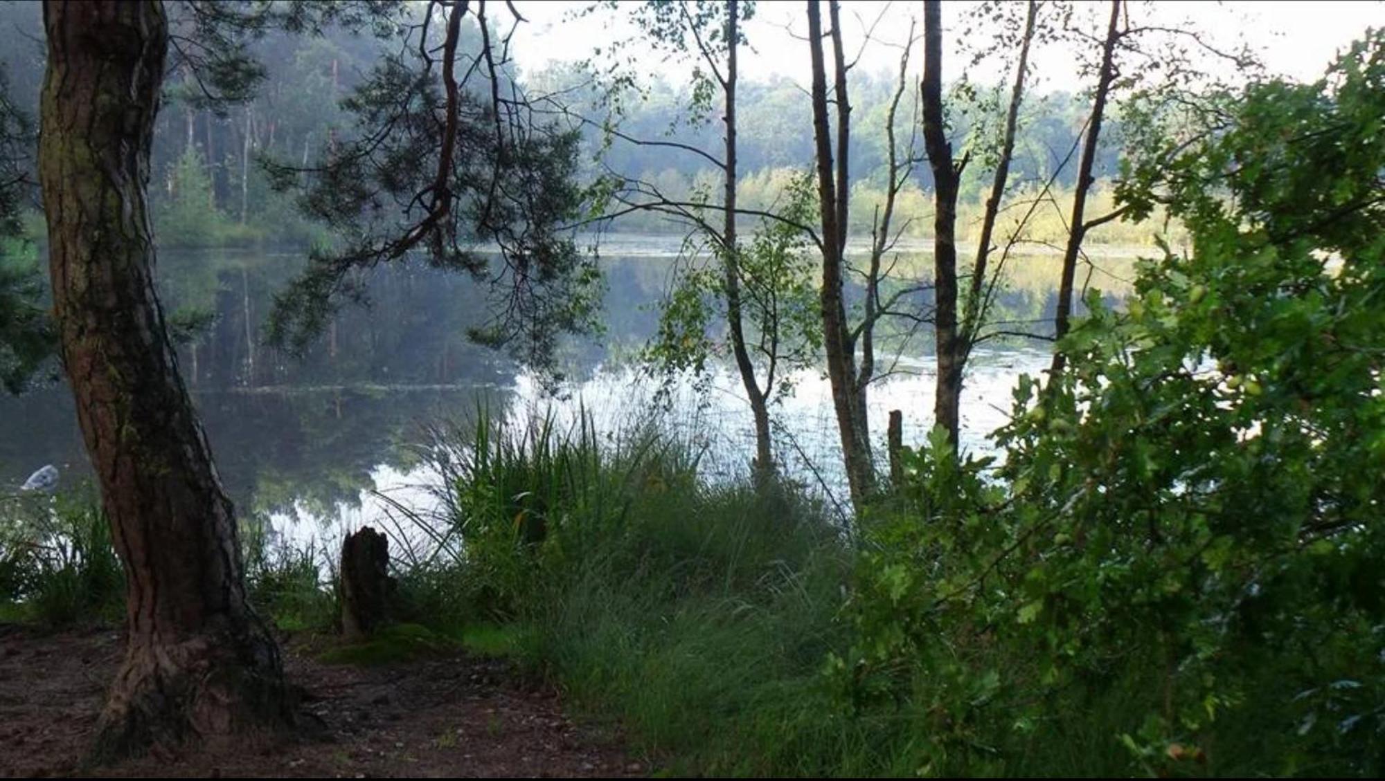 Opglabbeek Vakantiewoning Heidebos In Het Nationaal Park Hoge Kempen מראה חיצוני תמונה